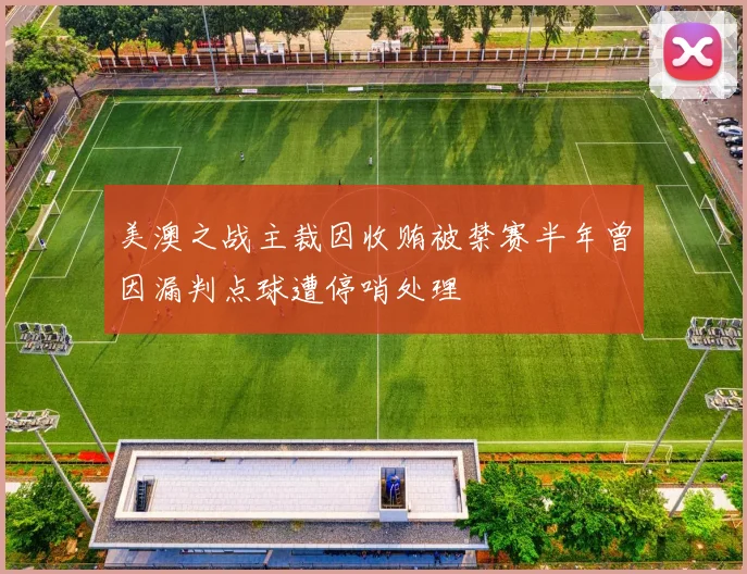 美澳之战主裁因收贿被禁赛半年曾因漏判点球遭停哨处理
